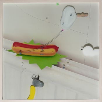 HOT_DOG_2018